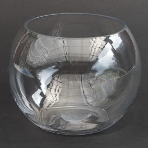 Glass Fish Bowl