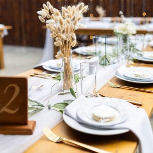 White Dinner Plate Set
